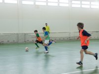 IMG_1781